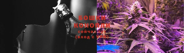 гидра Нефтекумск