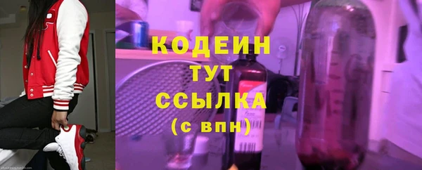 твердый Новодвинск