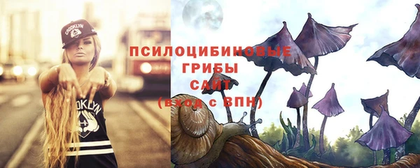 метадон Нея