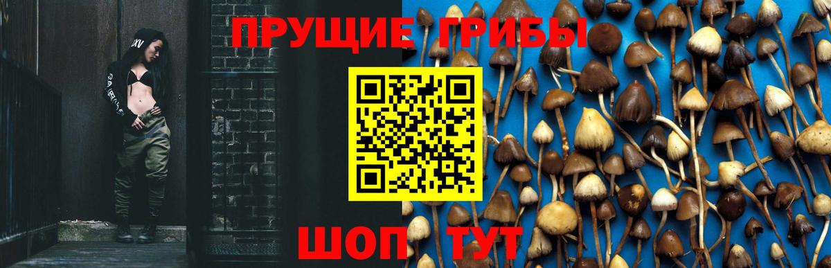 Галлюциногенные грибы Psilocybine cubensis  Вход с VPN  Фролово 